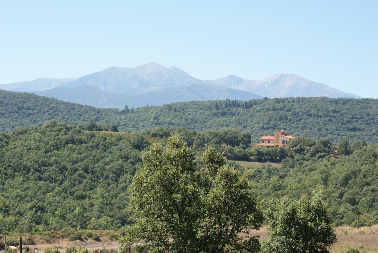 Mas La Marchette Acomodação com café da manhã Céret Exterior foto