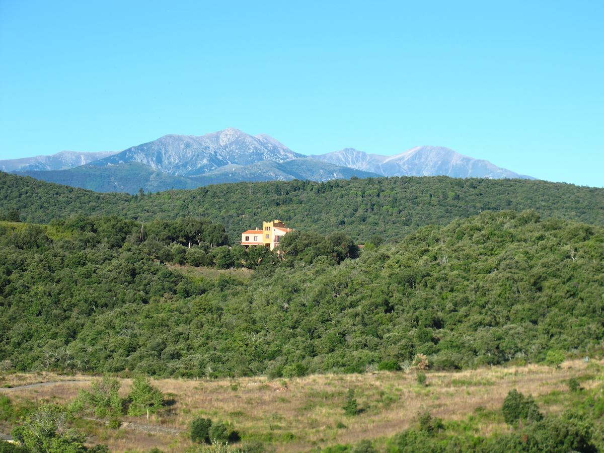 Mas La Marchette Acomodação com café da manhã Céret Exterior foto